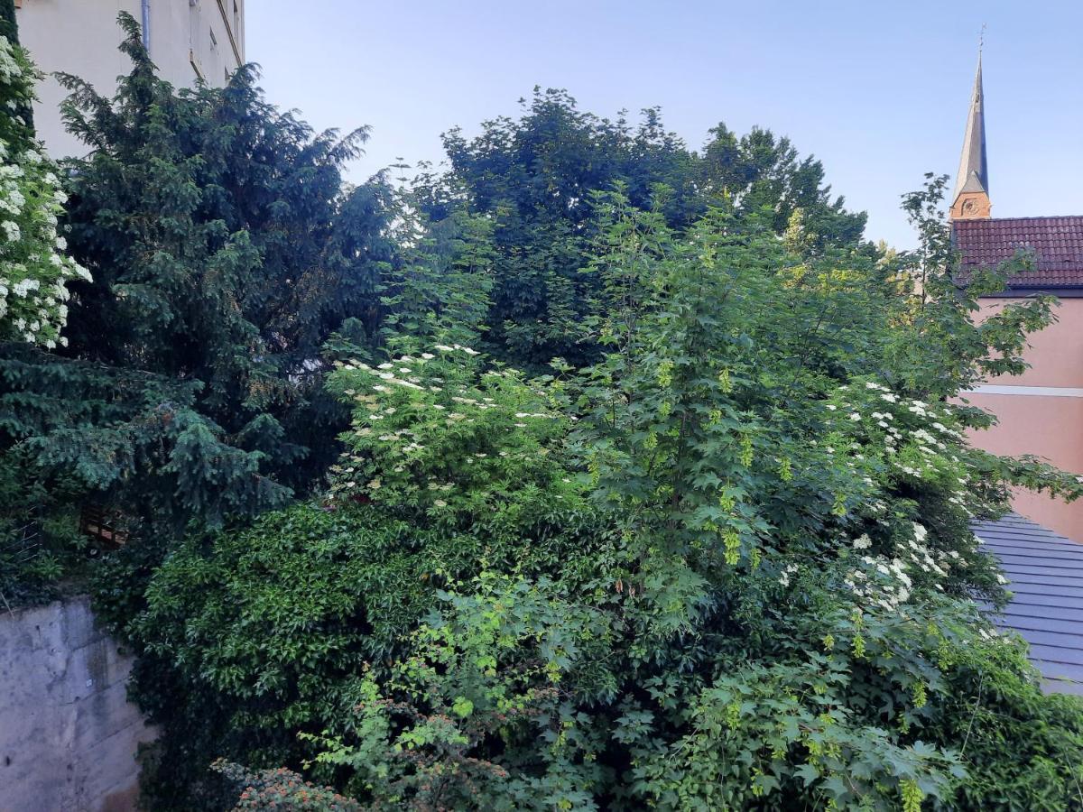 City Suite Gablenberg Щутгарт Екстериор снимка